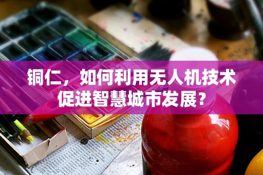 铜仁，如何利用无人机技术促进智慧城市发展？