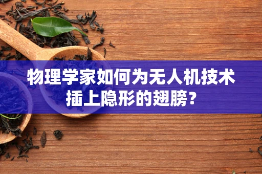 物理学家如何为无人机技术插上隐形的翅膀？