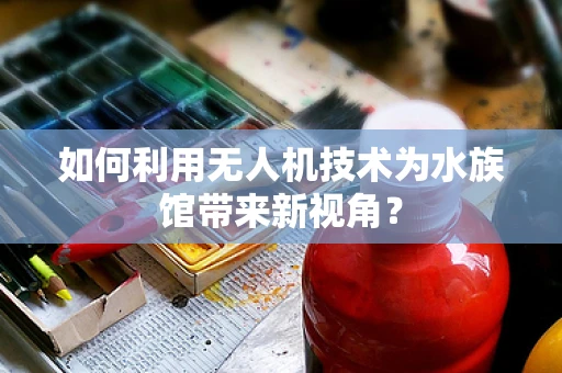 如何利用无人机技术为水族馆带来新视角？