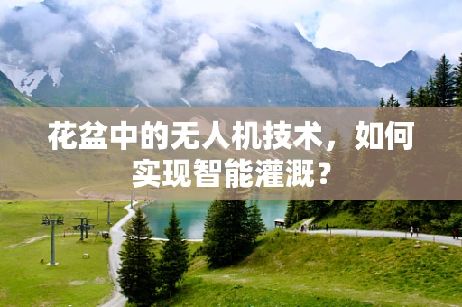 花盆中的无人机技术，如何实现智能灌溉？