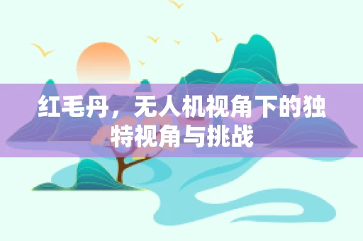红毛丹，无人机视角下的独特视角与挑战