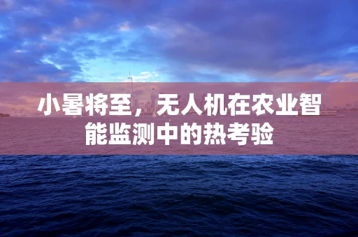 小暑将至，无人机在农业智能监测中的热考验