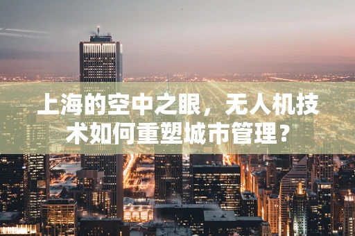 上海的空中之眼，无人机技术如何重塑城市管理？
