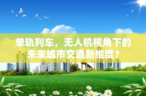 单轨列车，无人机视角下的未来城市交通新维度？