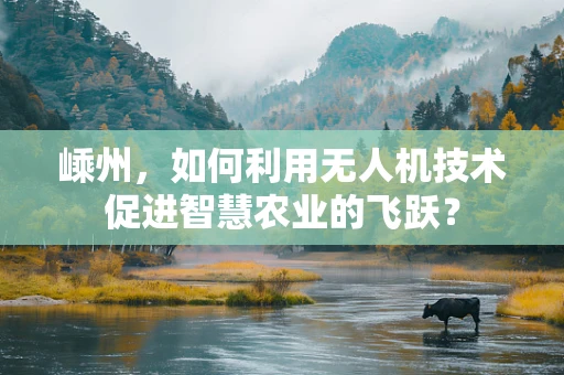 嵊州，如何利用无人机技术促进智慧农业的飞跃？