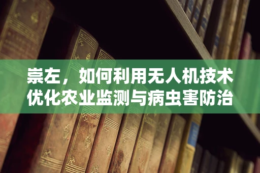 崇左，如何利用无人机技术优化农业监测与病虫害防治？