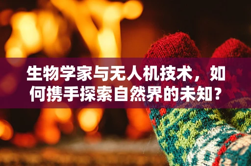 生物学家与无人机技术，如何携手探索自然界的未知？