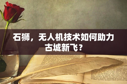石狮，无人机技术如何助力古城新飞？