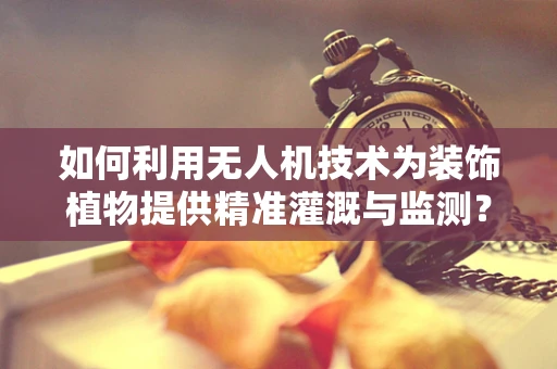 如何利用无人机技术为装饰植物提供精准灌溉与监测？