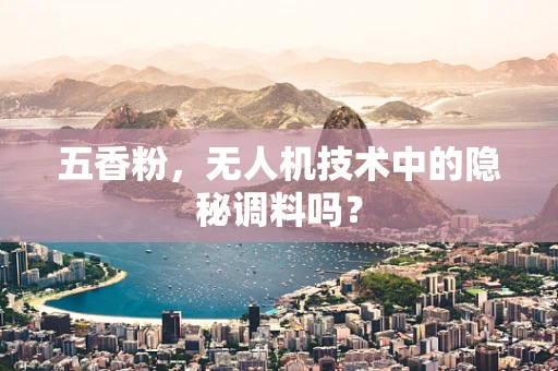 五香粉，无人机技术中的隐秘调料吗？