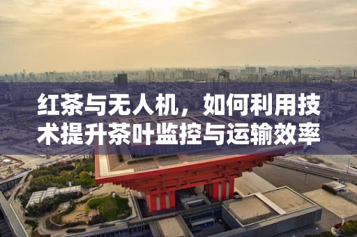 红茶与无人机，如何利用技术提升茶叶监控与运输效率？