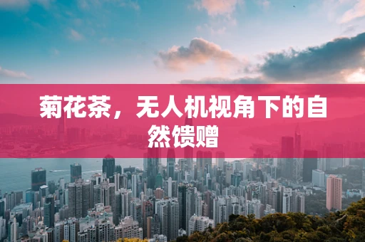 菊花茶，无人机视角下的自然馈赠