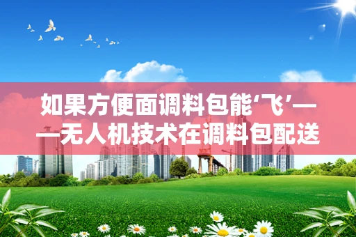 如果方便面调料包能‘飞’——无人机技术在调料包配送中的奇思妙想