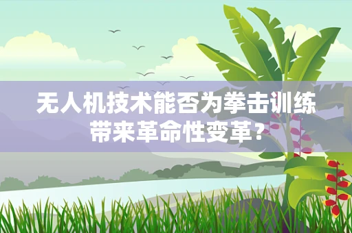 无人机技术能否为拳击训练带来革命性变革？