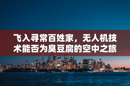 飞入寻常百姓家，无人机技术能否为臭豆腐的空中之旅保驾护航？
