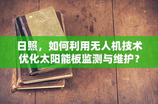 日照，如何利用无人机技术优化太阳能板监测与维护？