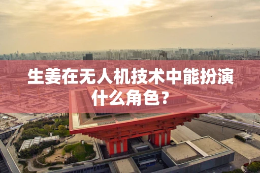 生姜在无人机技术中能扮演什么角色？