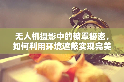 无人机摄影中的被罩秘密，如何利用环境遮蔽实现完美拍摄？