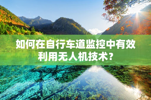 如何在自行车道监控中有效利用无人机技术？