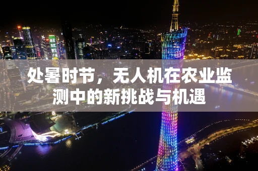 处暑时节，无人机在农业监测中的新挑战与机遇