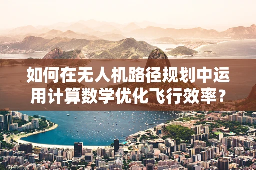 如何在无人机路径规划中运用计算数学优化飞行效率？