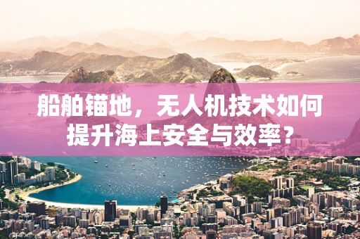 船舶锚地，无人机技术如何提升海上安全与效率？