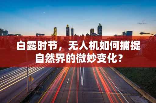 白露时节，无人机如何捕捉自然界的微妙变化？