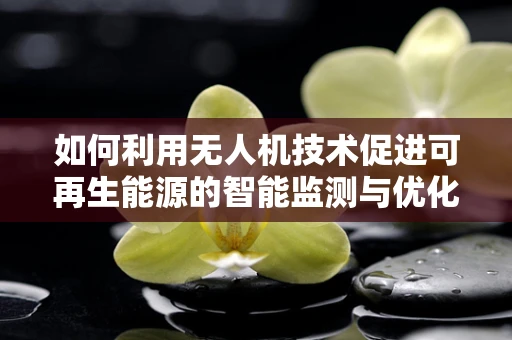 如何利用无人机技术促进可再生能源的智能监测与优化？