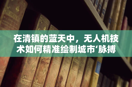 在清镇的蓝天中，无人机技术如何精准绘制城市‘脉搏’？