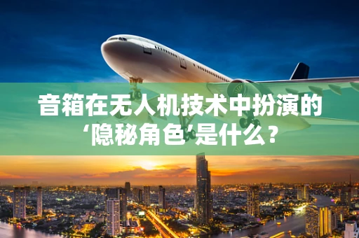 音箱在无人机技术中扮演的‘隐秘角色’是什么？