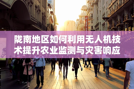陇南地区如何利用无人机技术提升农业监测与灾害响应？