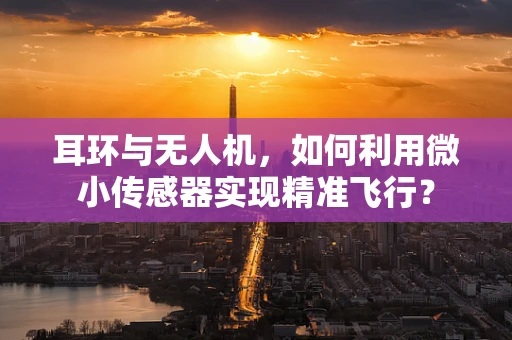 耳环与无人机，如何利用微小传感器实现精准飞行？