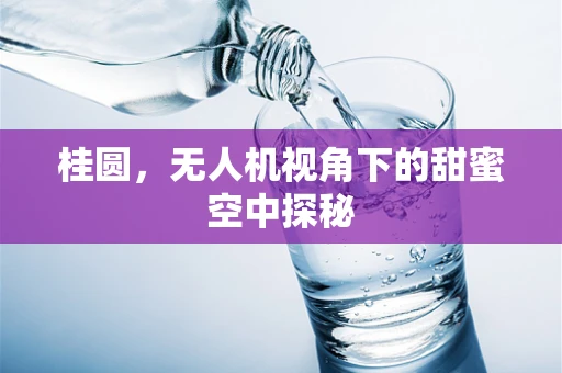 桂圆，无人机视角下的甜蜜空中探秘