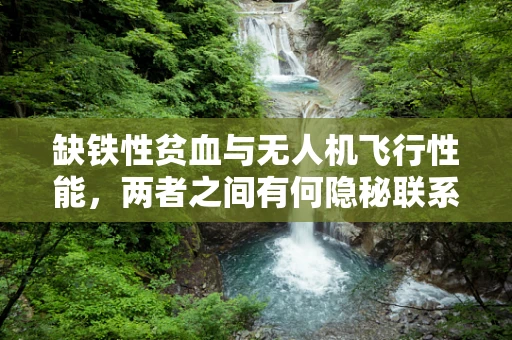 缺铁性贫血与无人机飞行性能，两者之间有何隐秘联系？
