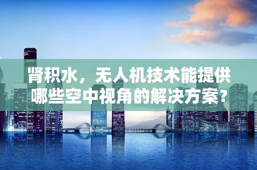 肾积水，无人机技术能提供哪些空中视角的解决方案？