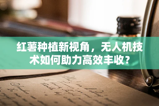 红薯种植新视角，无人机技术如何助力高效丰收？