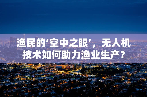 渔民的‘空中之眼’，无人机技术如何助力渔业生产？