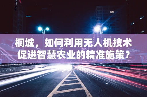 桐城，如何利用无人机技术促进智慧农业的精准施策？