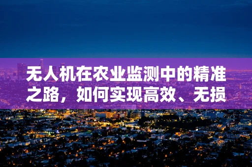无人机在农业监测中的精准之路，如何实现高效、无损的作物监测？