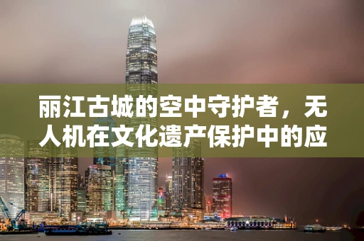 丽江古城的空中守护者，无人机在文化遗产保护中的应用挑战是什么？