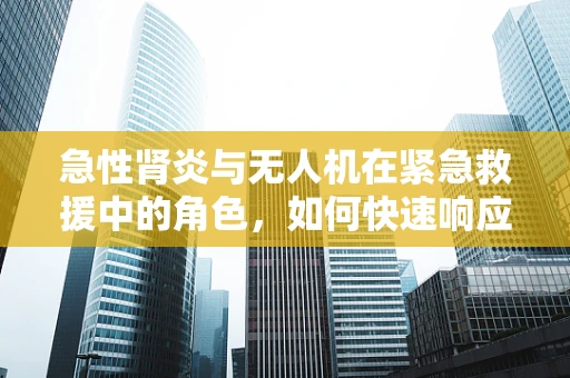 急性肾炎与无人机在紧急救援中的角色，如何快速响应与精准定位？