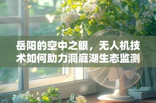 岳阳的空中之眼，无人机技术如何助力洞庭湖生态监测？
