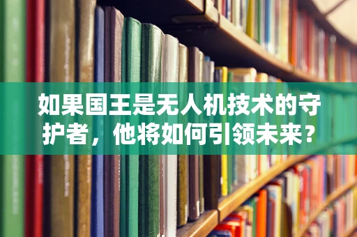 如果国王是无人机技术的守护者，他将如何引领未来？