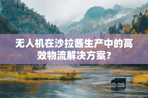 无人机在沙拉酱生产中的高效物流解决方案？