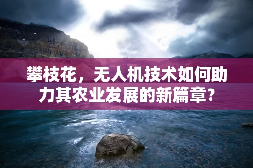 攀枝花，无人机技术如何助力其农业发展的新篇章？