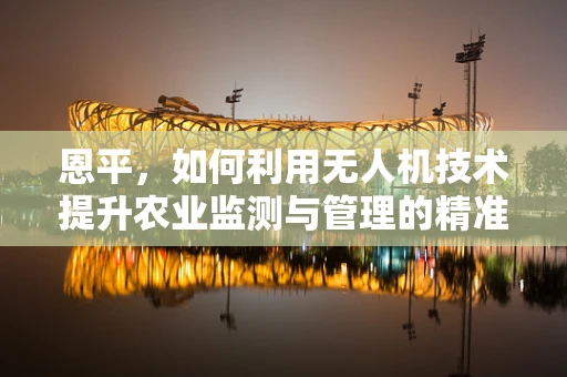 恩平，如何利用无人机技术提升农业监测与管理的精准度？