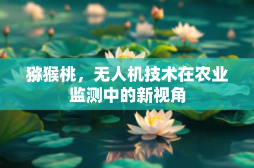 猕猴桃，无人机技术在农业监测中的新视角