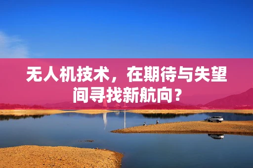 无人机技术，在期待与失望间寻找新航向？