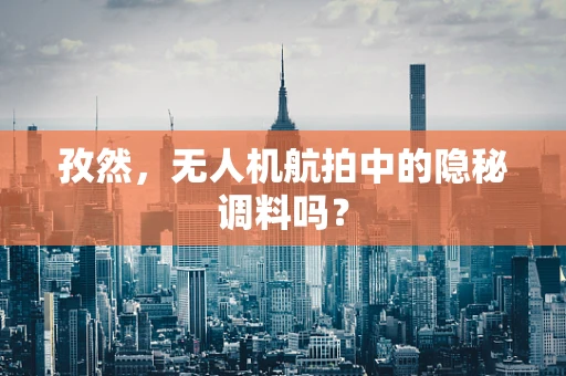 孜然，无人机航拍中的隐秘调料吗？