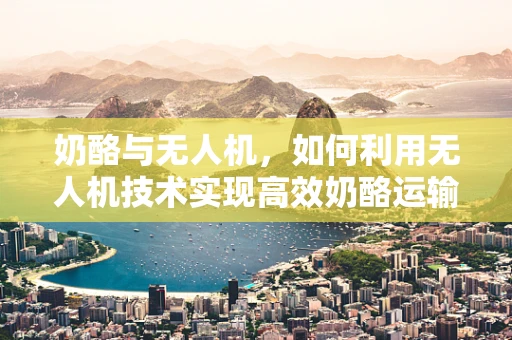奶酪与无人机，如何利用无人机技术实现高效奶酪运输？